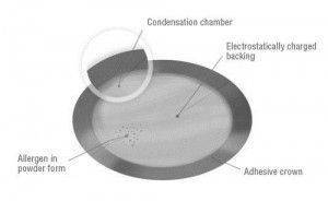 How the Viaskin® patch works